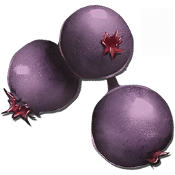 Mejoberry