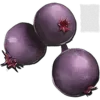 Mejoberry