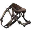 Mosasaur Saddle