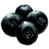 Narcoberry