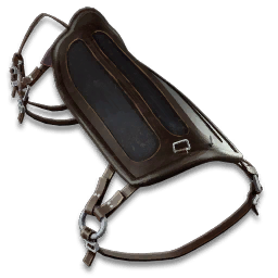 Onchopristis Saddle