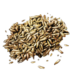 Oryraise Seed