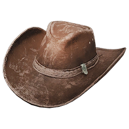 Outlaw Hat