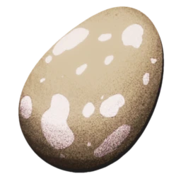 Fertilized Pegomastax Egg