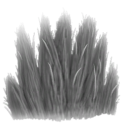 Pelt, Hair, or Wool