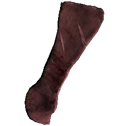 Pelvis