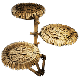 Pet Display
