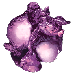 Plant Proto Species R-3 Seed