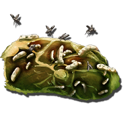 Plant Species R-3 Seed