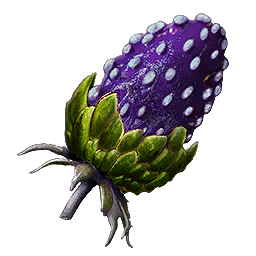 Plant Species W Fruit