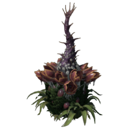 Plant Species X