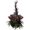Plant Species X