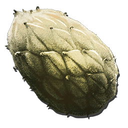 Plant Species Z Seed (SpeedHack)