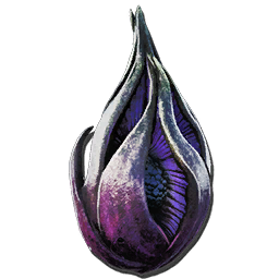 Plant Species Z