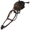 Pteranodon Saddle