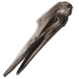 Quetzalcoatlus Bone Costume