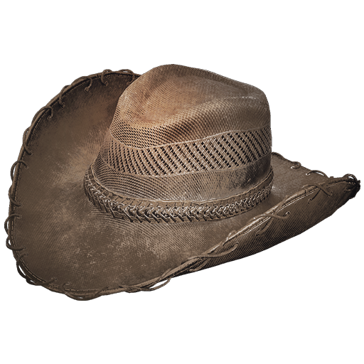 Rancher Hat