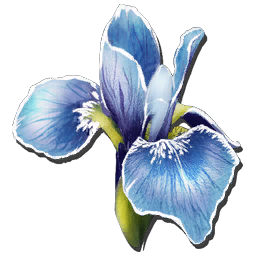 Rare Flower Shoulder Dragon Craftable