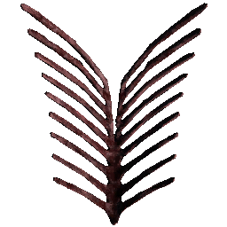 Ribcage