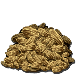 Rockarrot Seed