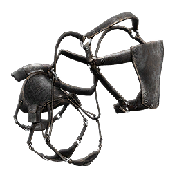 Seahorse Saddle