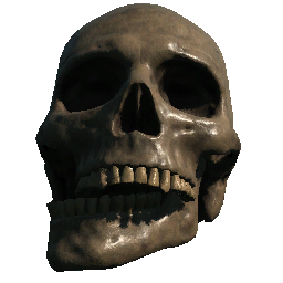 Skull (Jaw Offset)