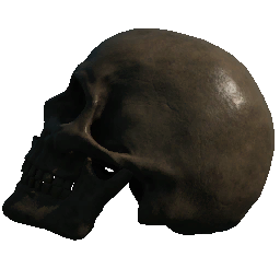 Skull (Left Facing Mouth Closed)