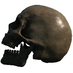 Skull (Left Facing Mouth Opon)