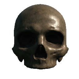 Skull (No Jaw or Teeth)