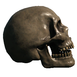 Skull (Right Facing Jaw Offset)