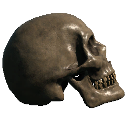 Skull (Right Facing Mouth Closed)