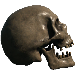 Skull (Right Facing Mouth Open Bad Teeth)