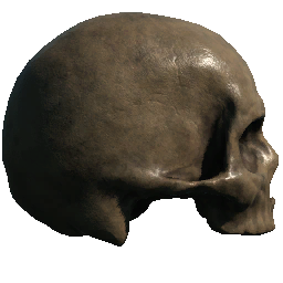 Skull (Right Facing No Jaw or Teeth)