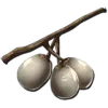 Stimberry