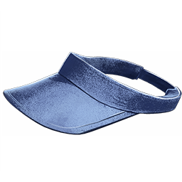 Sun Visor