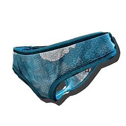 T-Rex Swim Bottom Skin