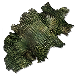 Taxidermy Dermis No Upload