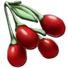 Tintoberry