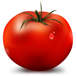 Tomato