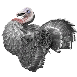 Turkey Hat Skin