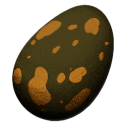 Turtle Egg