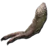 Tyrannosaurus Arm