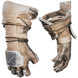 Warlord Gloves Skin