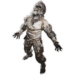Werewolf Costume