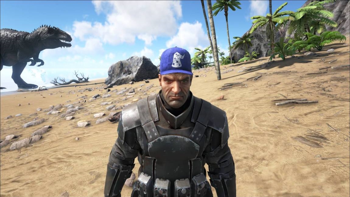 Wizard Ballcap Skin