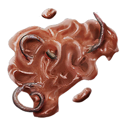 Worm Gum