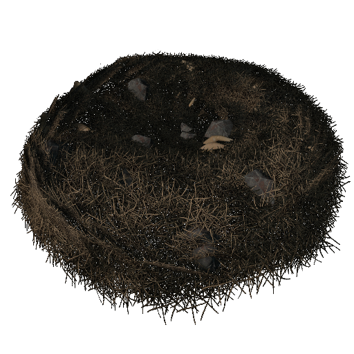 Wyvern Nest