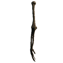 Arm 3