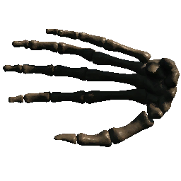 Hand 2