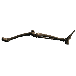 Leg 2